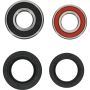 All Balls Rear Wheel Bearing Kit For Honda XR 650R 2000-2007